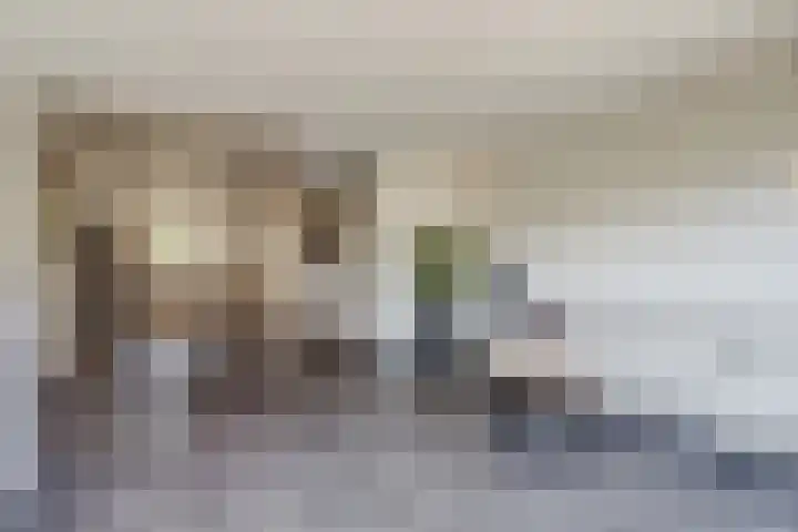 Valeriaan 3 Bladel thumbnail 11