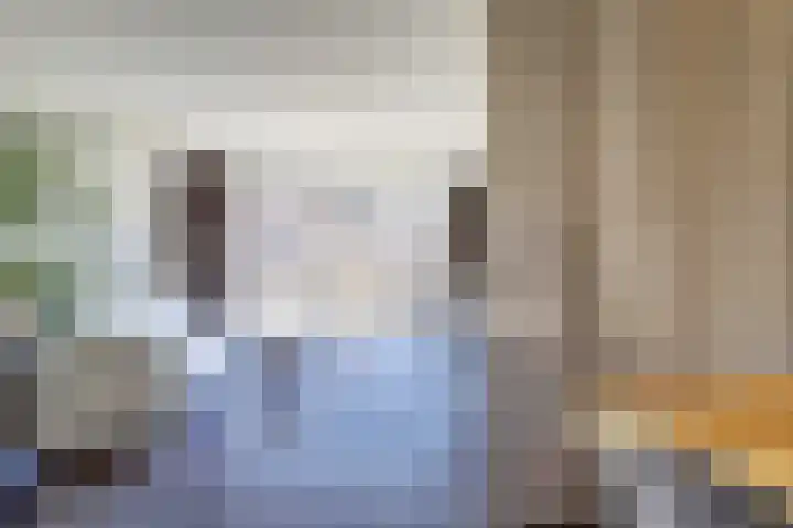Valeriaan 3 Bladel thumbnail 12