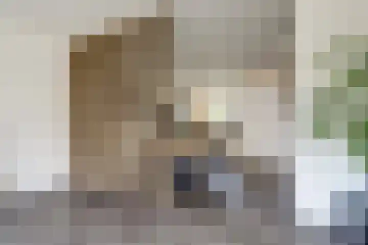 Valeriaan 3 Bladel thumbnail 14