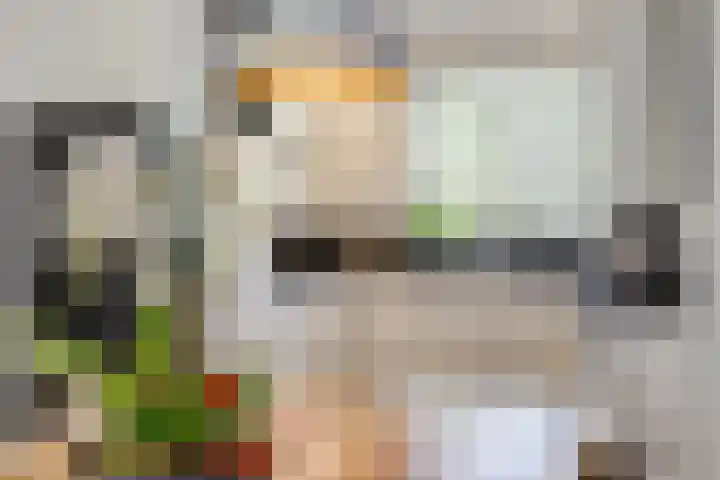 Valeriaan 3 Bladel thumbnail 16