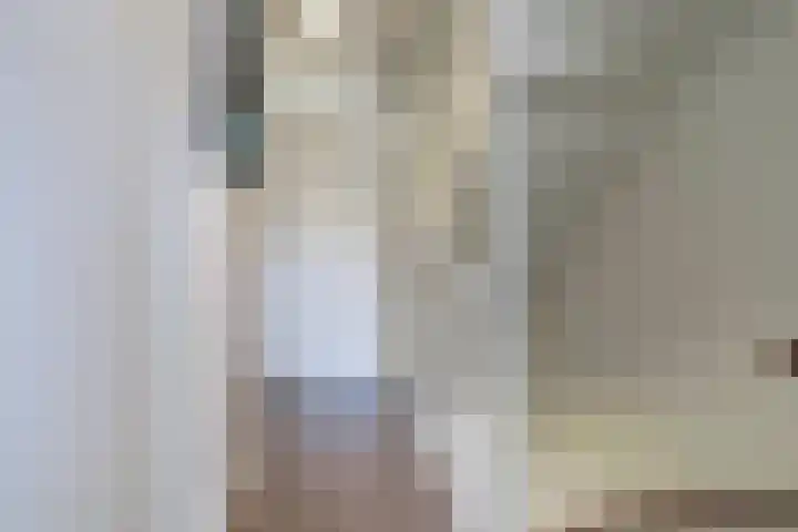 Valeriaan 3 Bladel thumbnail 20