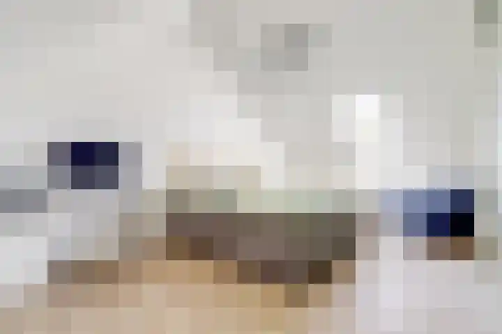 Valeriaan 3 Bladel thumbnail 29
