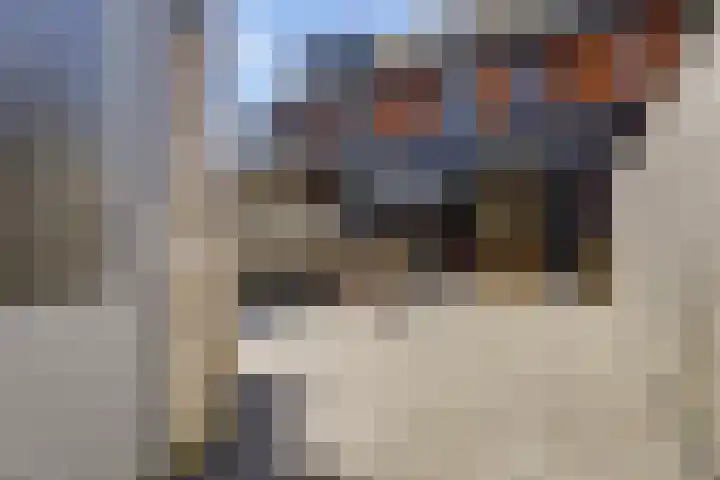 Valeriaan 3 Bladel thumbnail 33