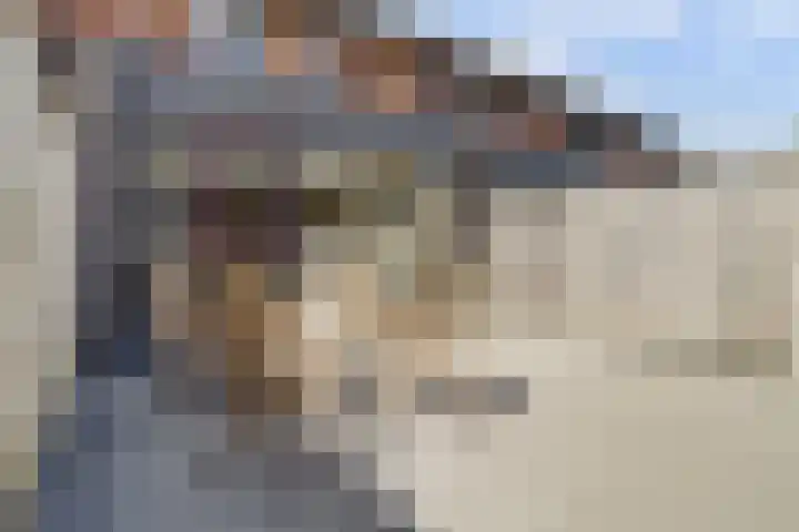 Valeriaan 3 Bladel thumbnail 34