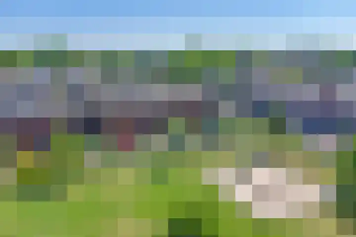 Valeriaan 3 Bladel thumbnail 36