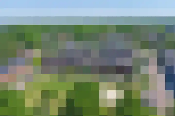 Valeriaan 3 Bladel thumbnail 38