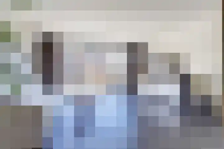 Valeriaan 3 Bladel thumbnail 8