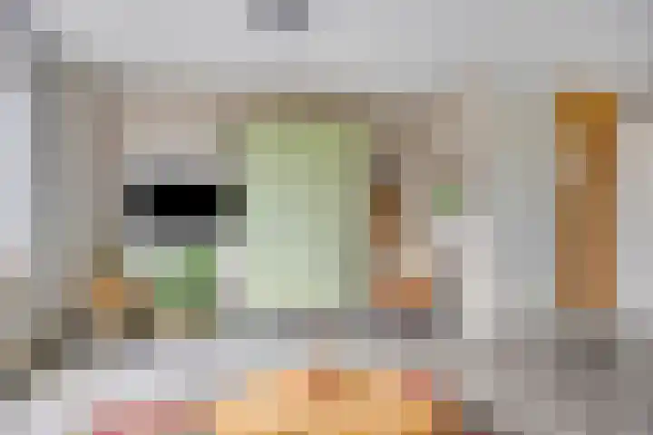 Valeriaan 72 Meppel thumbnail 10