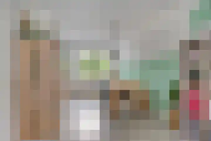Valeriaan 72 Meppel thumbnail 11