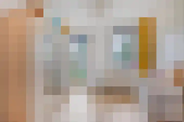 Valeriaan 72 Meppel thumbnail 19