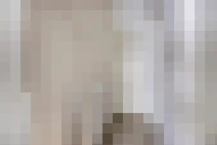 Valeriaan 72 Meppel thumbnail 23