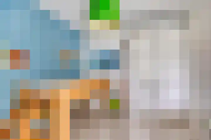 Valeriaan 72 Meppel thumbnail 25