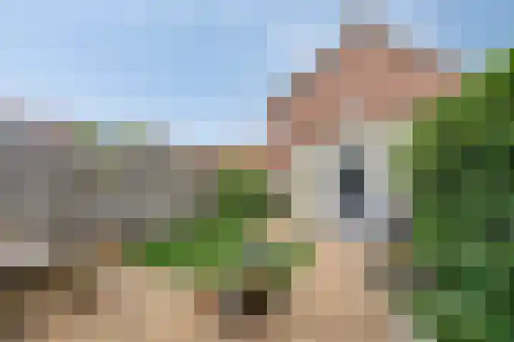 Valeriaan 72 Meppel thumbnail 32