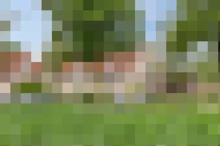 Valeriaan 72 Meppel thumbnail 35