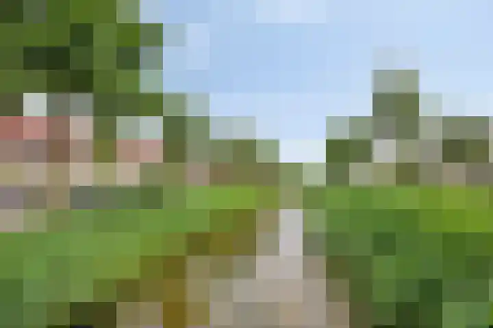 Valeriaan 72 Meppel thumbnail 36