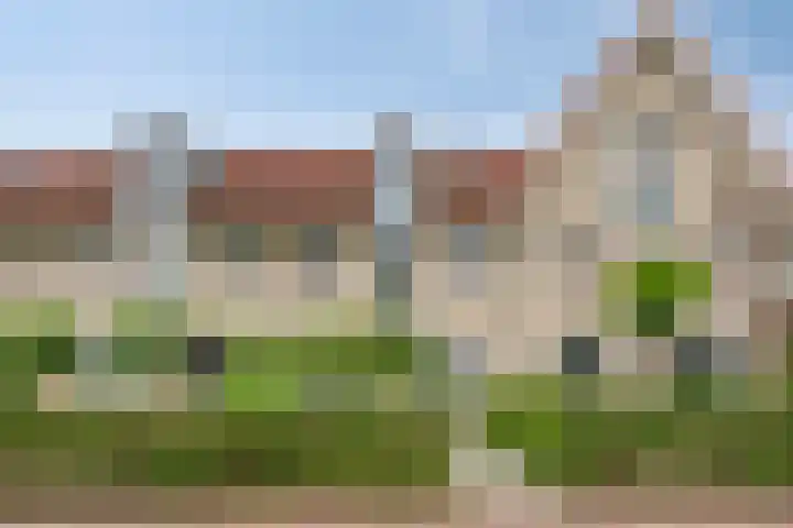 Valeriaan 72 Meppel thumbnail 37