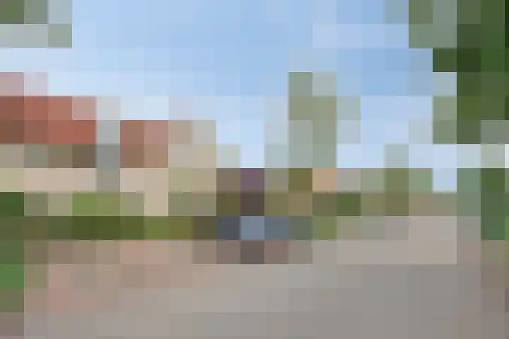 Valeriaan 72 Meppel thumbnail 39