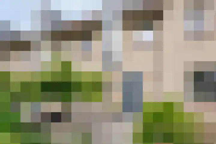 Valeriaan 72 Meppel thumbnail 6
