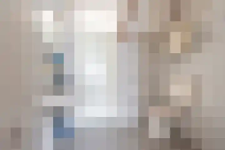 Valeriaan 9 Gendringen thumbnail 20