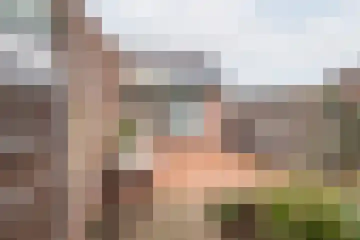 Valeriaan 9 Gendringen thumbnail 27