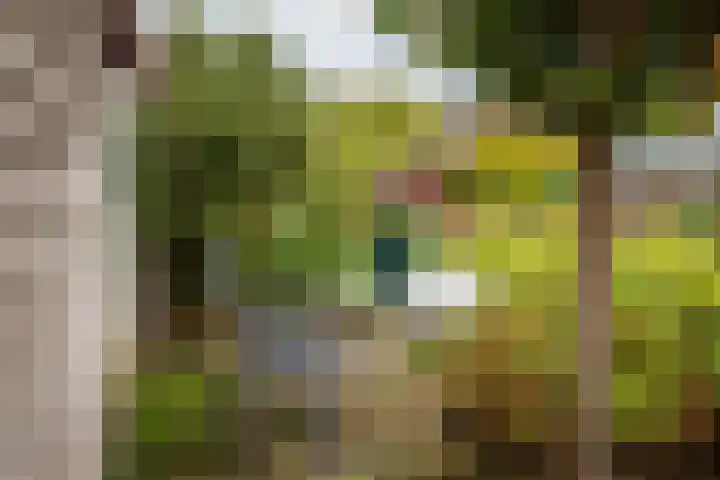 Valeriaan 9 Gendringen thumbnail 29