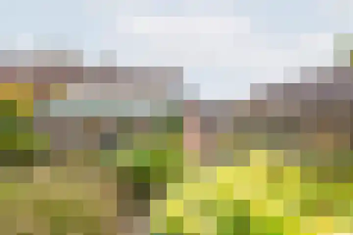 Valeriaan 9 Gendringen thumbnail 32