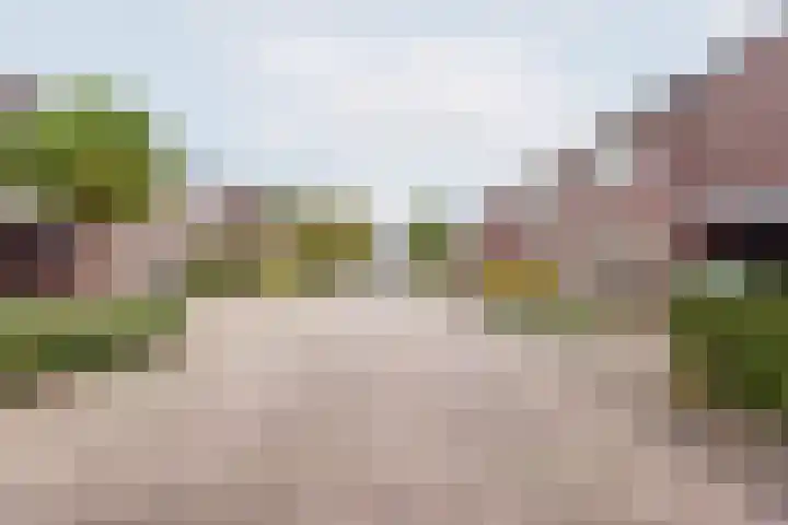 Valeriaan 9 Gendringen thumbnail 38