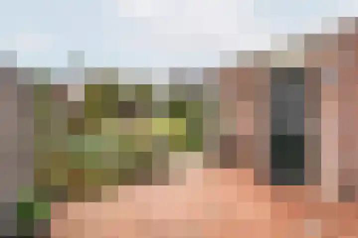 Valeriaan 9 Gendringen thumbnail 4