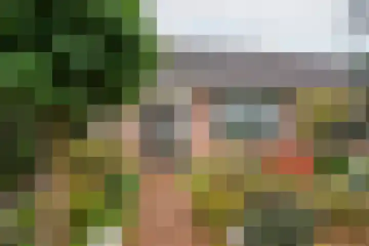 Valeriaan 9 Gendringen thumbnail 5