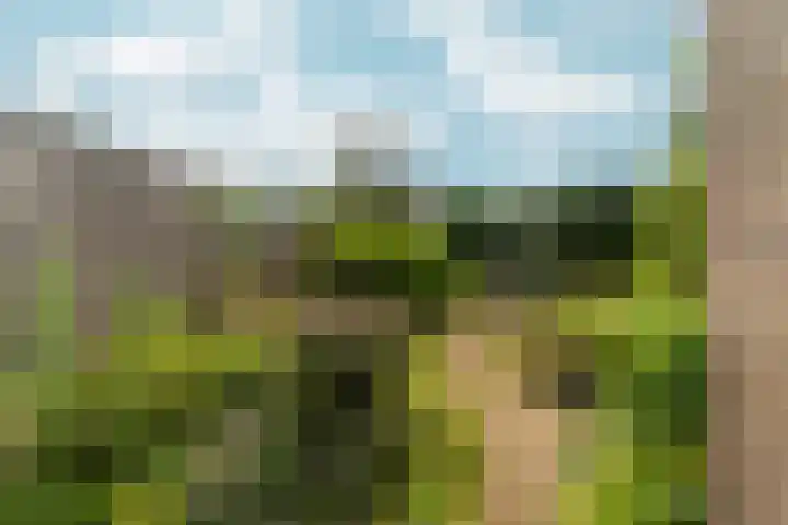 Valeriuslaan 21 Dieren thumbnail 30