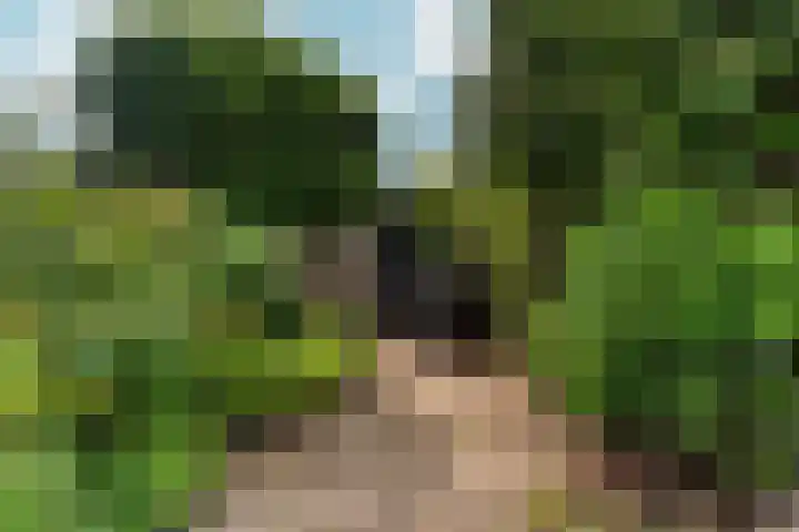Valeriuslaan 21 Dieren thumbnail 31