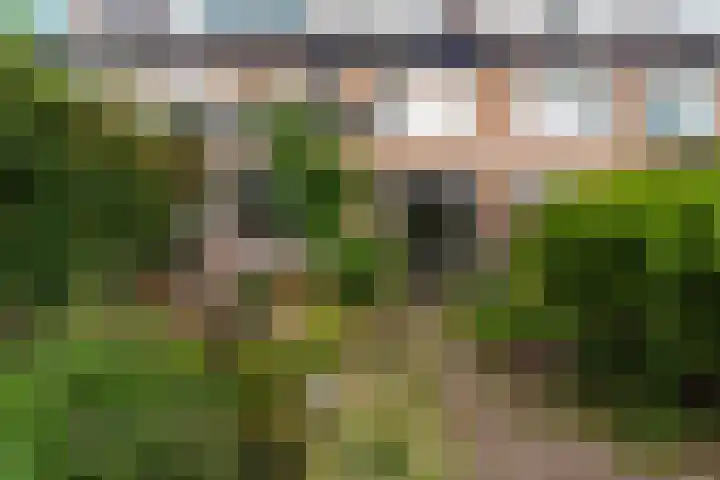 Valeriuslaan 21 Dieren thumbnail 33