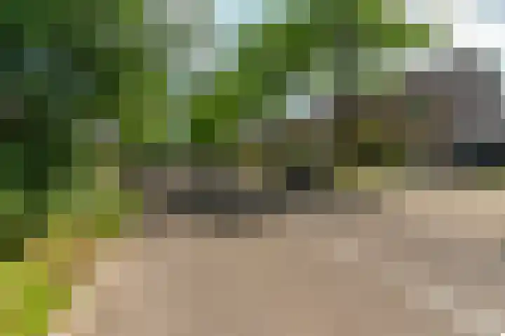 Valeriuslaan 21 Dieren thumbnail 35