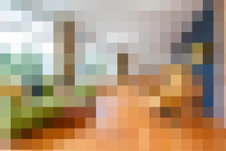 Valeriuspad 12 Rotterdam thumbnail 16