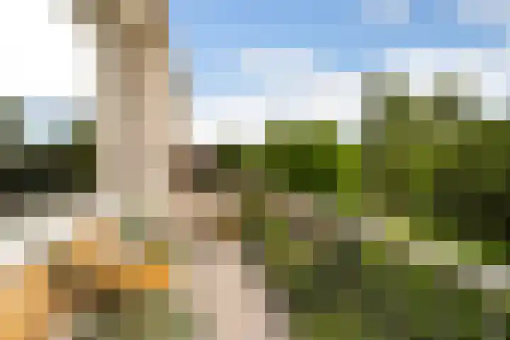 Valeriuspad 12 Rotterdam thumbnail 17