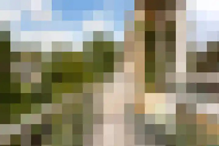 Valeriuspad 12 Rotterdam thumbnail 18