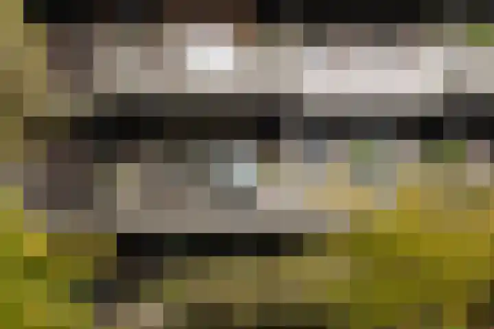 Valeriusplein 9 E 2 Amsterdam thumbnail 20