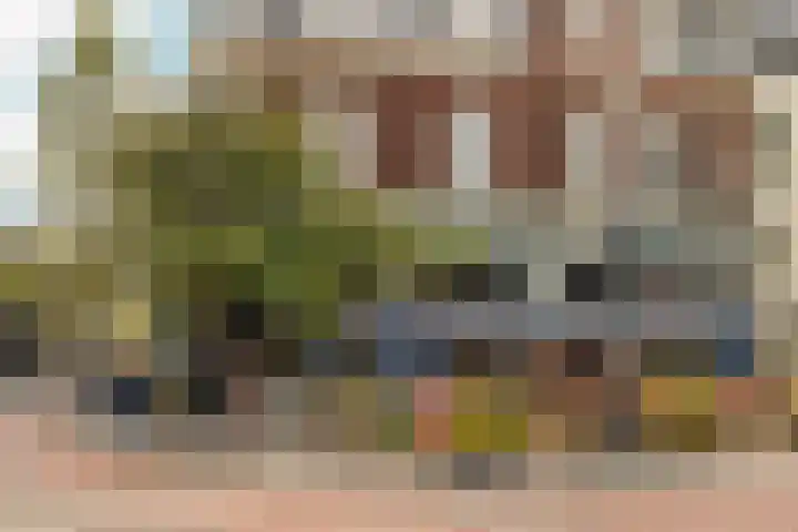 Valeriusstraat 143 2 Amsterdam thumbnail 33