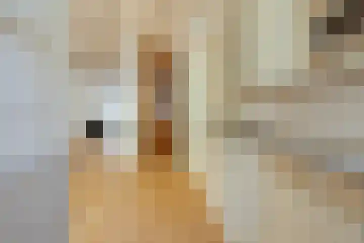 Valeriusstraat 15 2 Amsterdam thumbnail 19