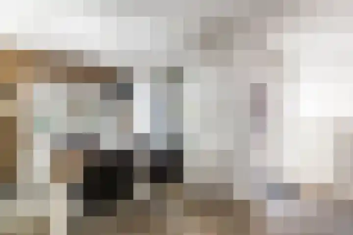 Valeriusstraat 52 Gemert thumbnail 16