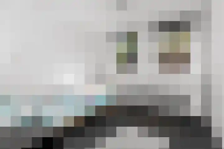 Valeriusstraat 52 Gemert thumbnail 18