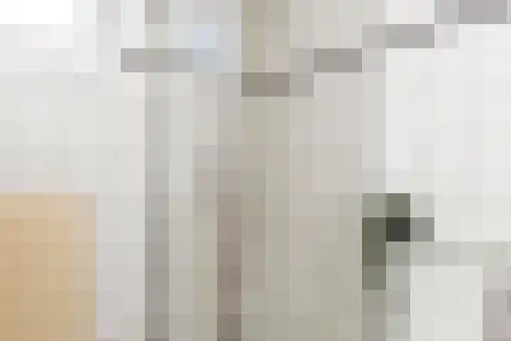 Valeriusstraat 52 Gemert thumbnail 21