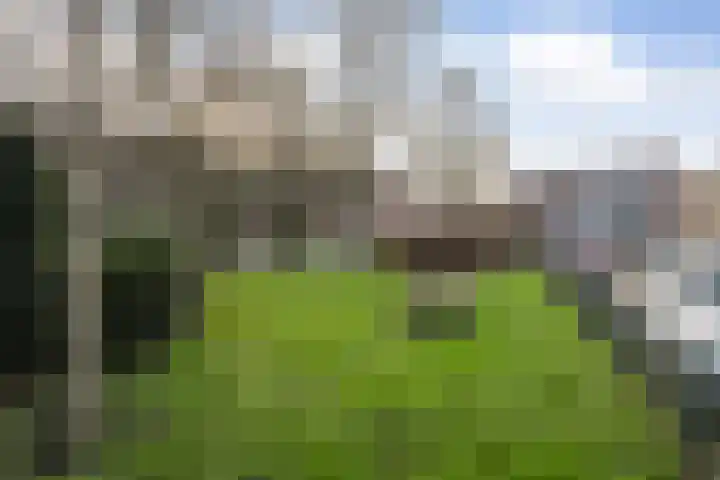 Valeriusstraat 88 Vlaardingen thumbnail 34