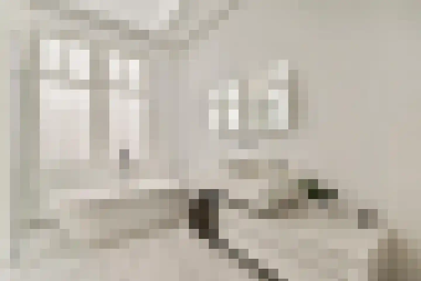Valeriusstraat 96 2 Amsterdam thumbnail 15