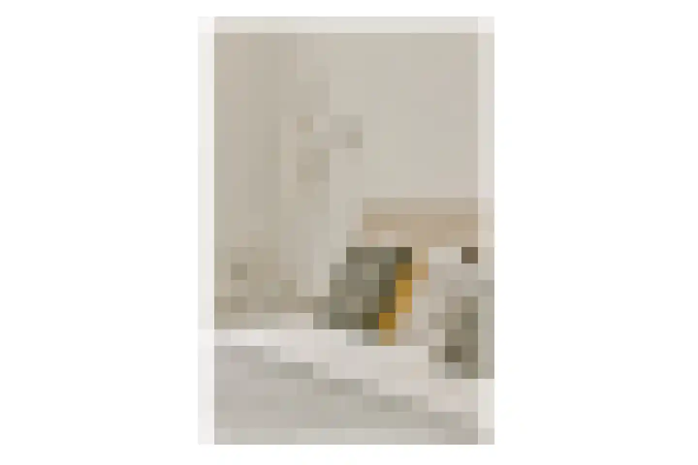 Valeriusstraat 96 2 Amsterdam thumbnail 41