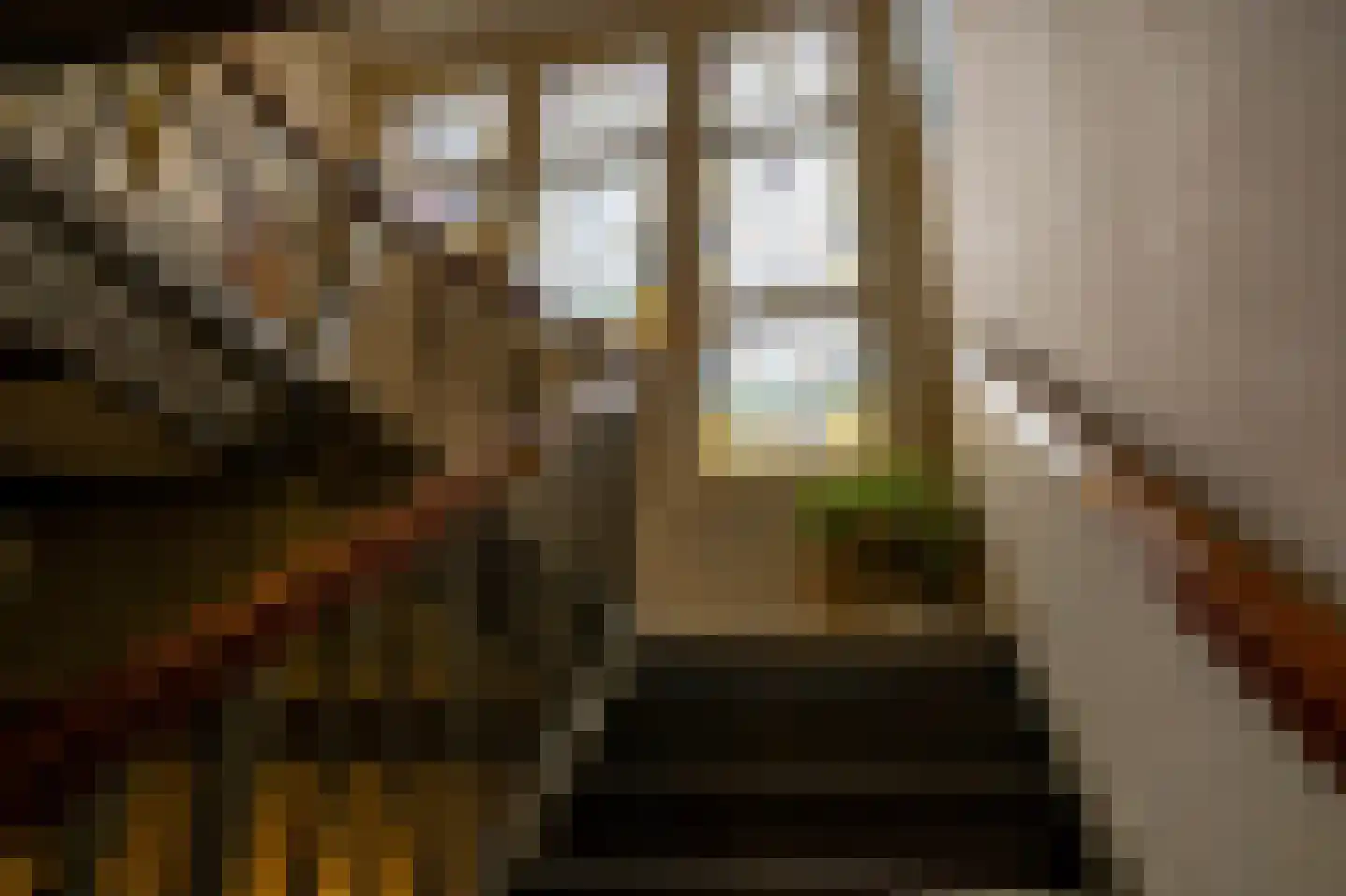 Valge 2 Leens thumbnail 28