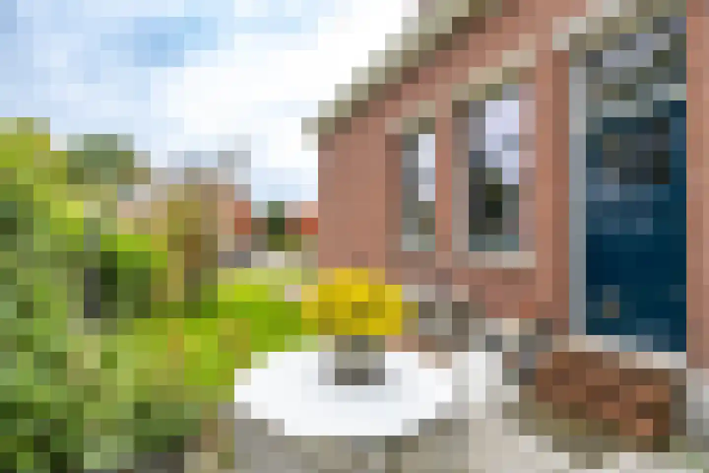 Valge 2 Leens thumbnail 42