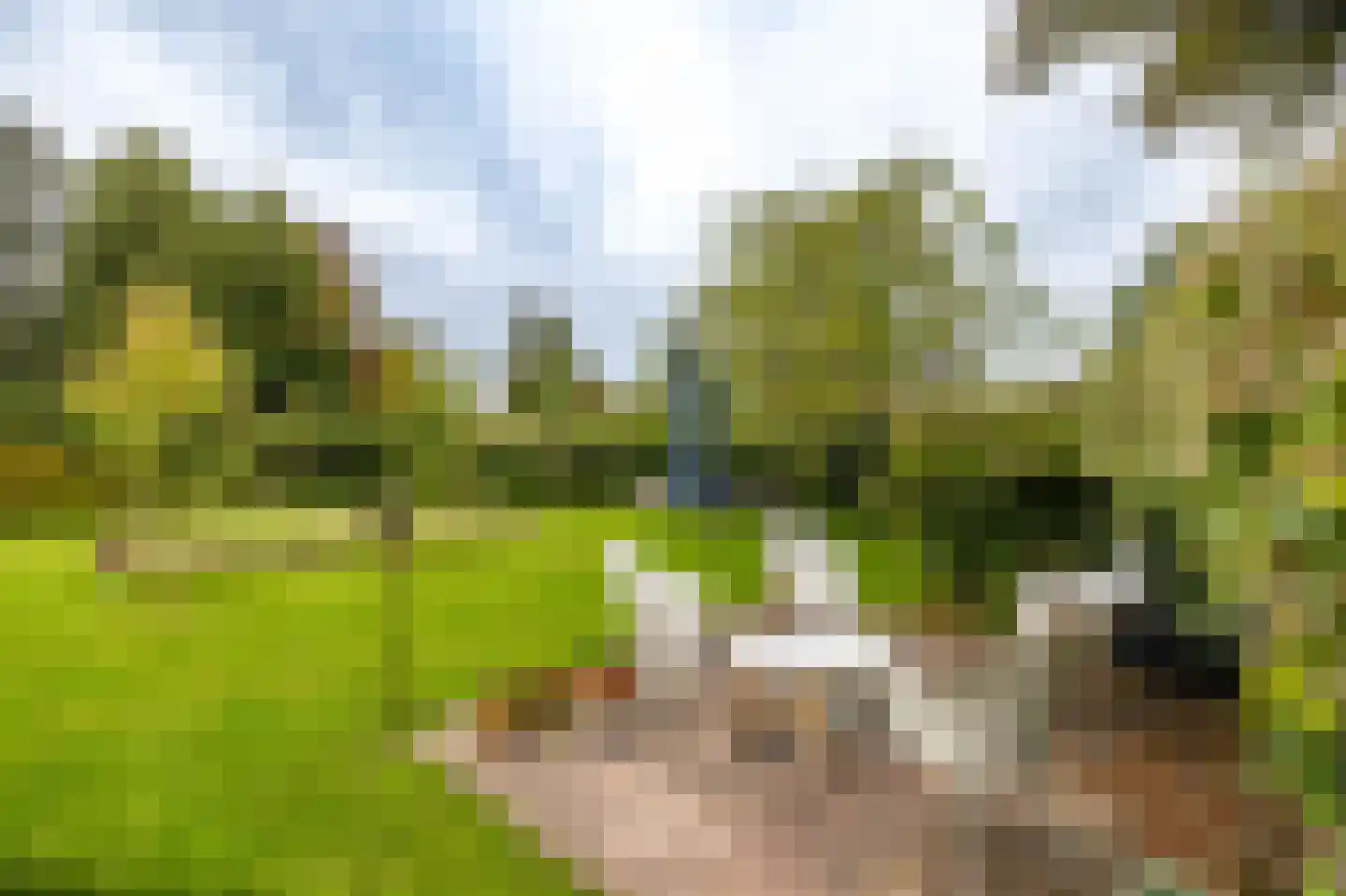 Valge 2 Leens thumbnail 43