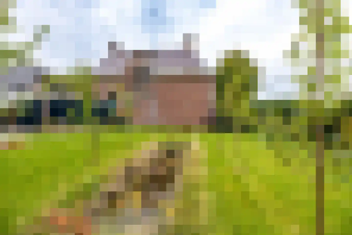 Valge 2 Leens thumbnail 45