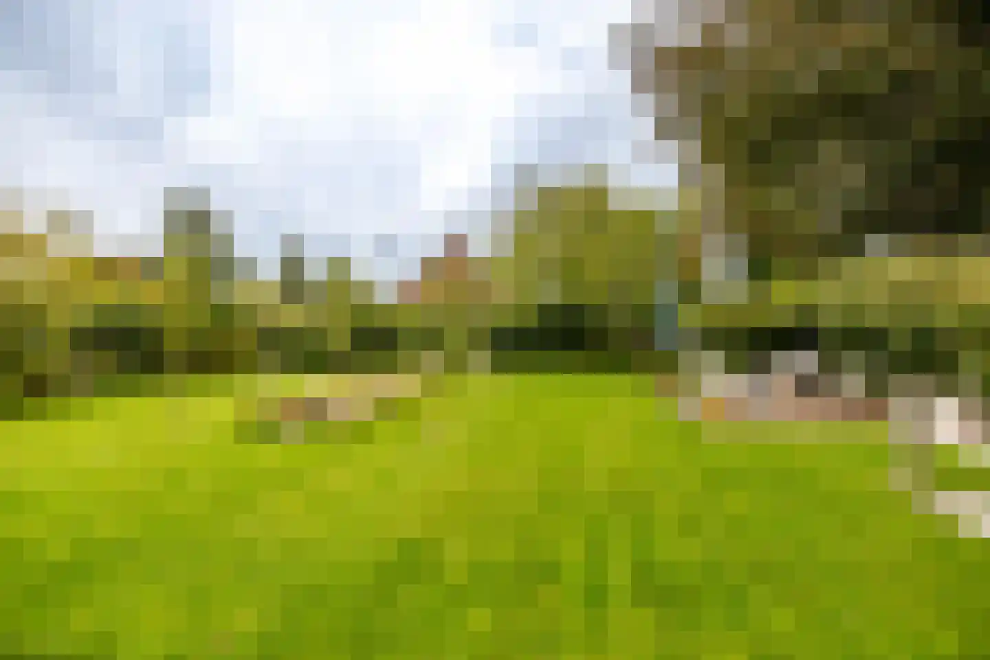 Valge 2 Leens thumbnail 46
